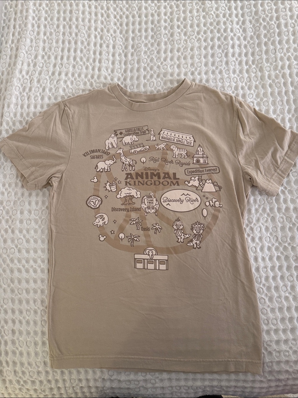 Disney Animal Kingdom Graphic Tee - Tan